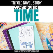 A Wrinkle in Time Novel Study