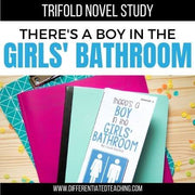 There's a Boy in the Girls' Bathroom Novel Study
